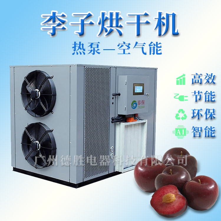 李子烘干機,李果烘干機